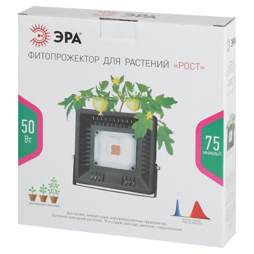 https://rs24.ru/ctlg/edi/ERA/B00/B0039033/B0039033_3.jpeg