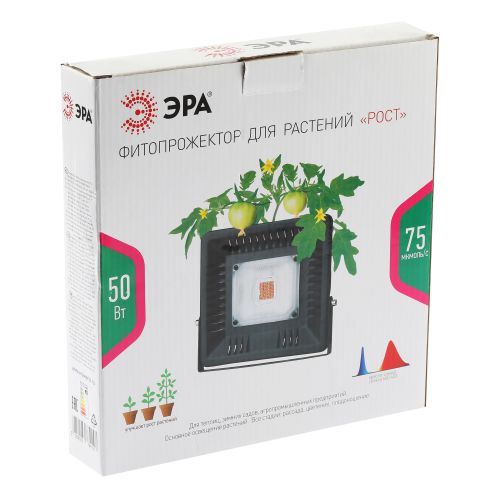 https://rs24.ru/ctlg/edi/ERA/B00/B0039033/B0039033_4.jpeg
