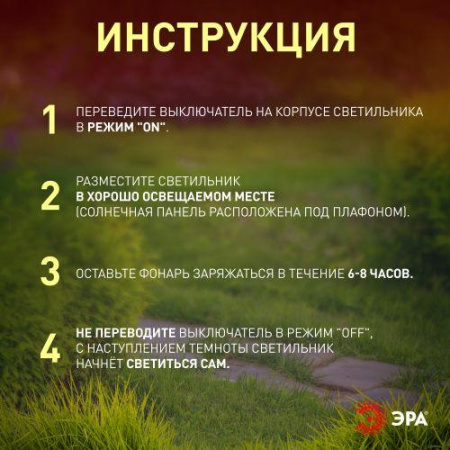 https://rs24.ru/ctlg/edi/ERA/B00/B0044243/B0044243_6.jpeg
