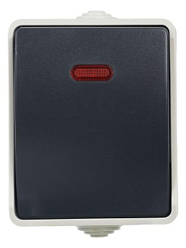 Выключатель 1-кл. ОП Форс 10А IP54 ВС20-1-1-ФСр с индикацией сер. IEK EVS11-K03-10-54-DC