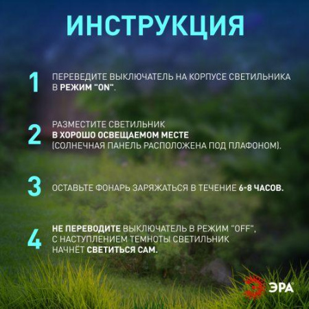 https://rs24.ru/ctlg/edi/ERA/B00/B0044219/B0044219_8.jpeg