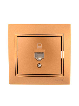 Розетка компьютерная 1-м СП Мира RJ45 метал. зол. LEZARD 701-1313-139 Розетка компьютерная 1-м СП Мира RJ45 метал. зол. LEZARD 701-1313-139