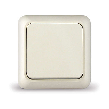 Выключатель 1-кл. ОП Олимп 10А IP20 сл. кость UNIVersal Б-О0021 Выключатель 1-кл. ОП Олимп 10А IP20 сл. кость UNIVersal Б-О0021