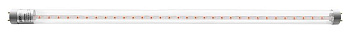 Лампа светодиодная PLED T8-900 PPG Agro 12Вт G13 CL для растений JazzWay 5037410 Лампа светодиодная PLED T8-900 PPG Agro 12Вт G13 CL для растений JazzWay 5037410