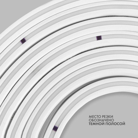https://rs24.ru/ctlg/edi/SDSGROUP/131/131-046/131-046_9.jpeg