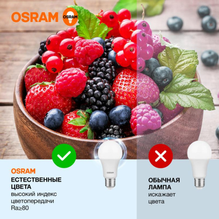 https://rs24.ru/ctlg_rsz/ledvance_osram/1459885_4.jpg
