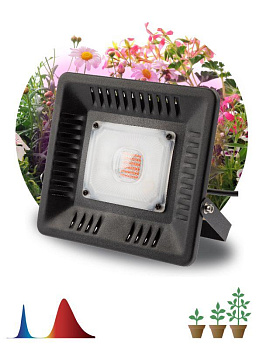 Прожектор светодиодный для растений FITO-50W-LED BLUERED 50Вт IP65 220-240В -30град. до + 45град. 30000ч для цветения и плодоношения красно-синего спектра ЭРА Б0039033