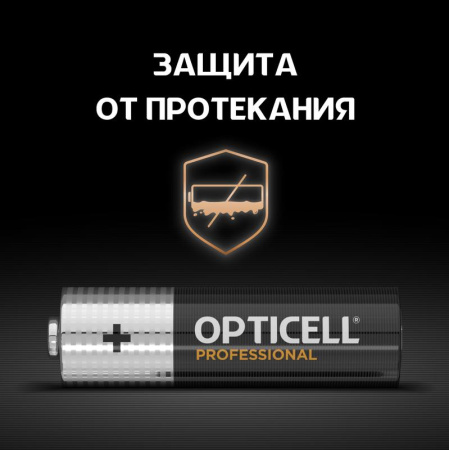 https://rs24.ru/ctlg_rsz/opticell/1789762_3.jpg
