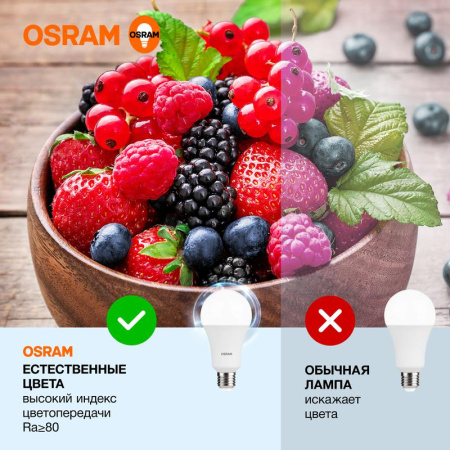 https://rs24.ru/ctlg_rsz/ledvance_osram/1459891_4.jpg