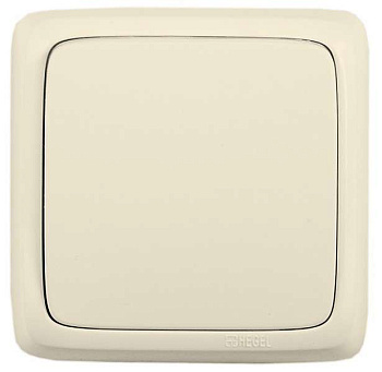 Переключатель 1-кл. ОП Альфа 10А IP20 250В с изолир. пластиной сл. кость HEGEL ВА10-163-01